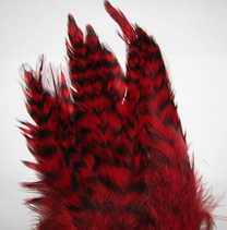 schlappen + saddle grizzy red